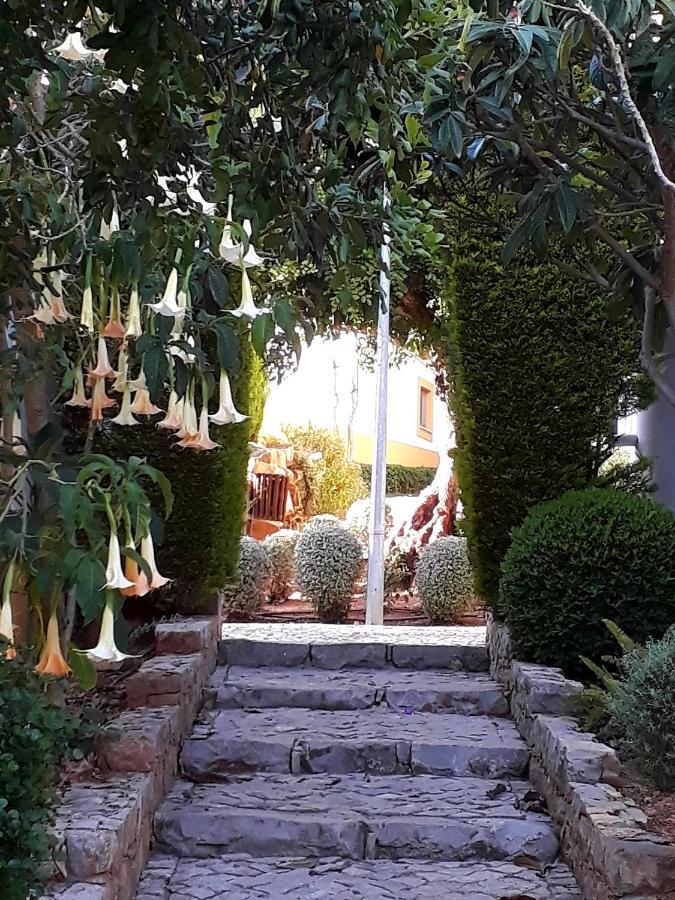 Aparte Wohnung Mit Sudterrasse Am Park Tavira Ngoại thất bức ảnh
